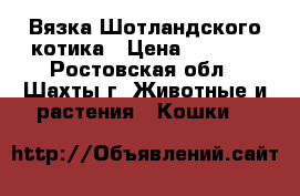 Вязка Шотландского котика › Цена ­ 1 500 - Ростовская обл., Шахты г. Животные и растения » Кошки   